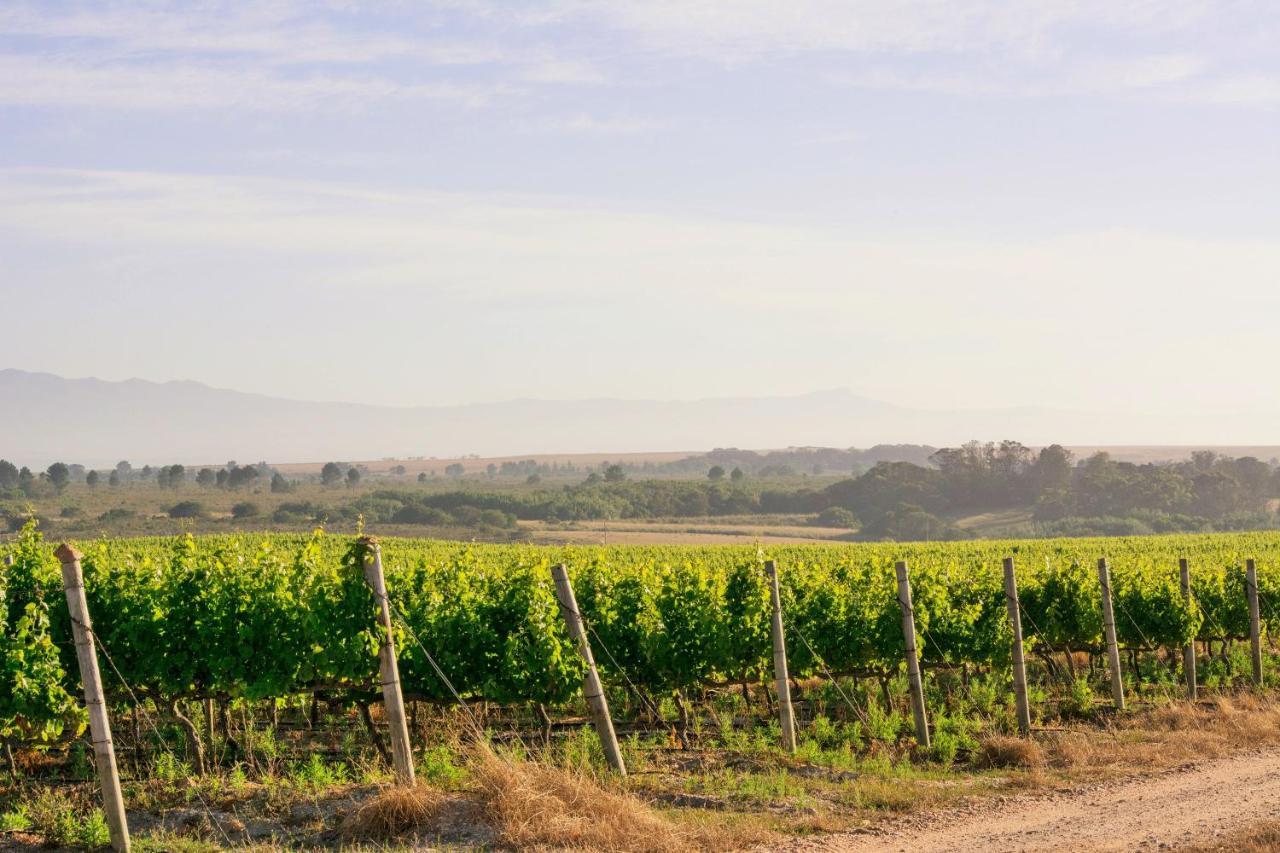 Strandveld Vineyards Cottages Elim  Luaran gambar